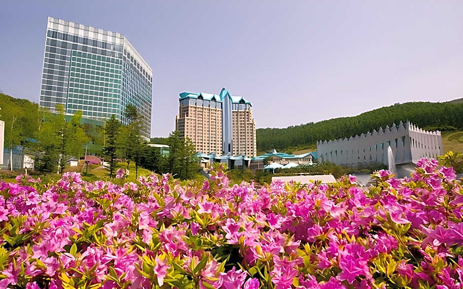 High1 Grand Hotel Convention Tower(Kangwonland Hotel)