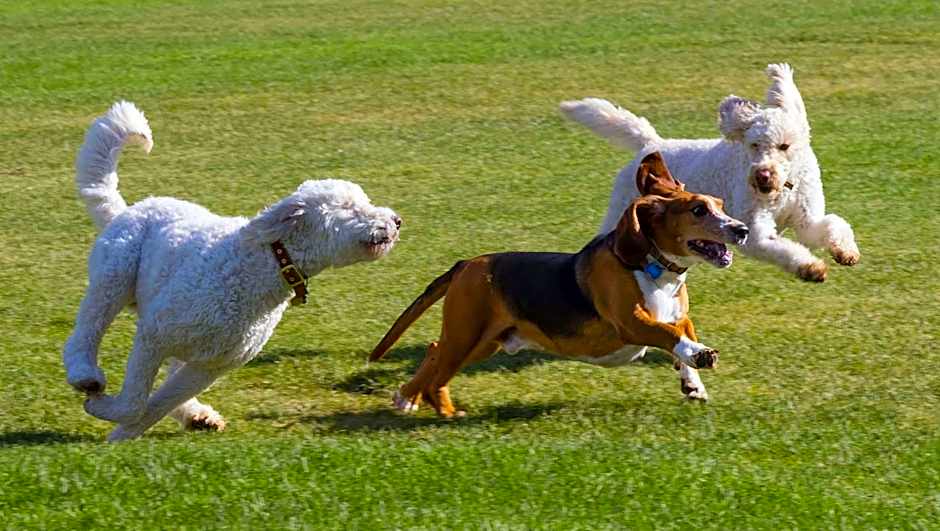 Charles Wesley Motor Lodge Broken Bow