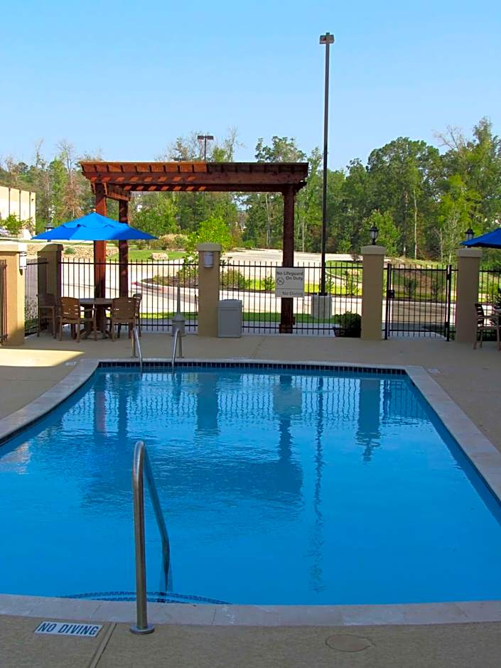 Hampton Inn By Hilton And Suites Center