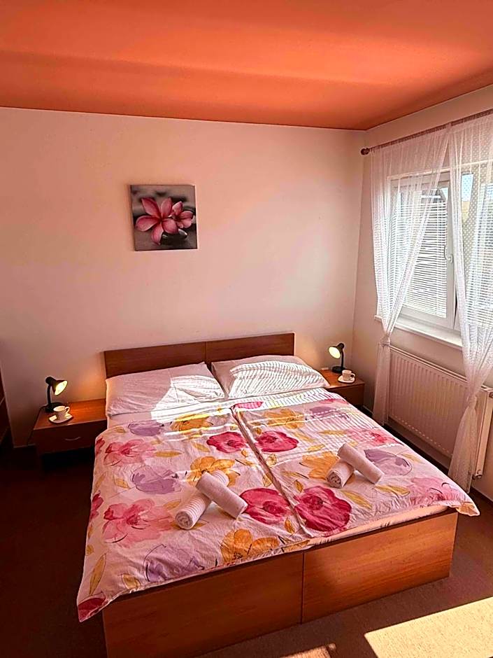 Apartmány, Penzion, Wellness U zlaté rybky