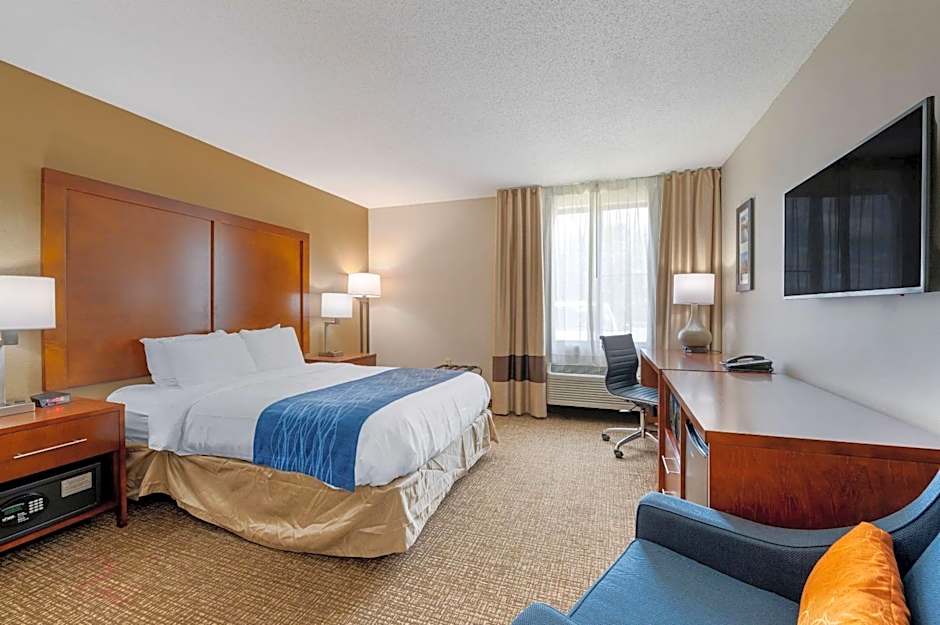 Comfort Inn Anderson South