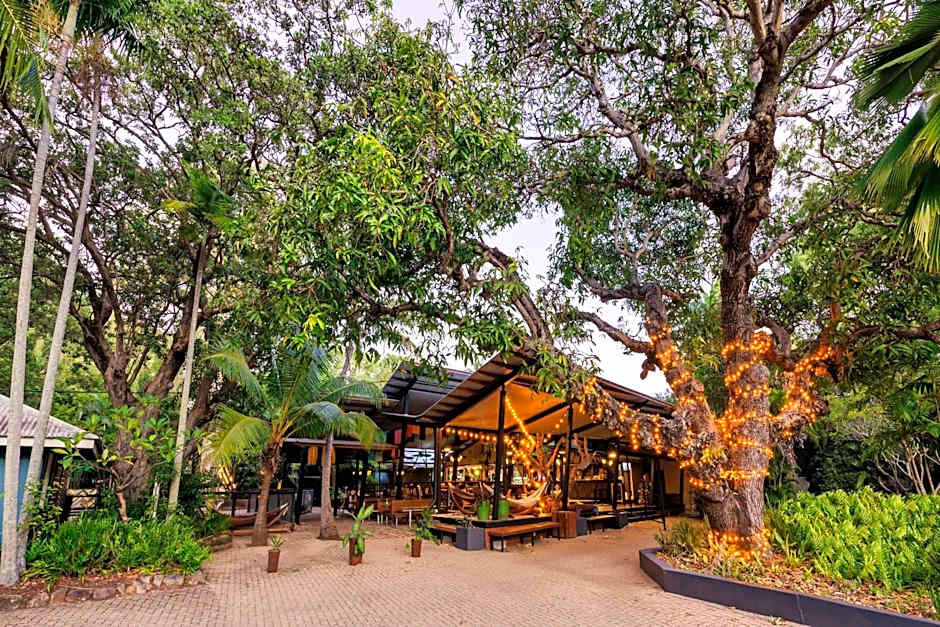 Bounce Magnetic Island and Koala Park