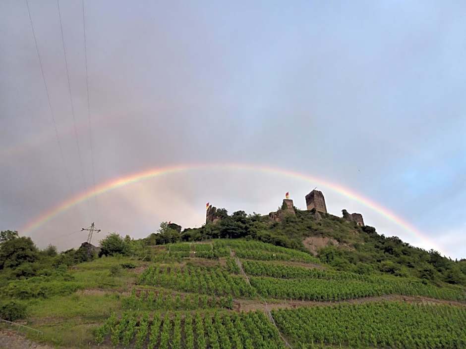 Hotel Haus Burg Metternich