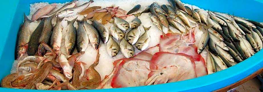 Hôtel Café Miramar