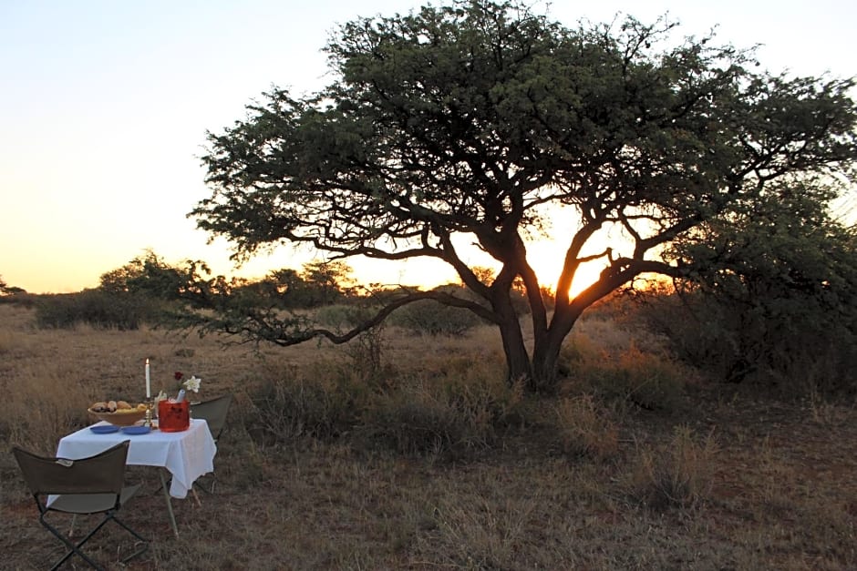 Kameel Rust and Vrede B & B, Camping and Venue