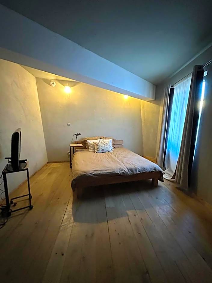 Mulhouse City Loft