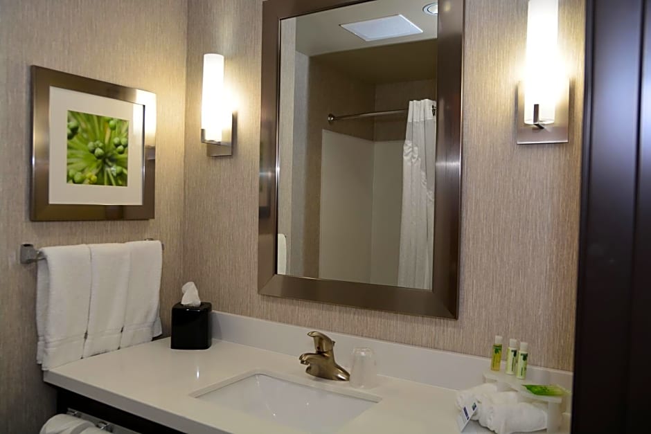 Holiday Inn Express and Suites Houston NW Tomball