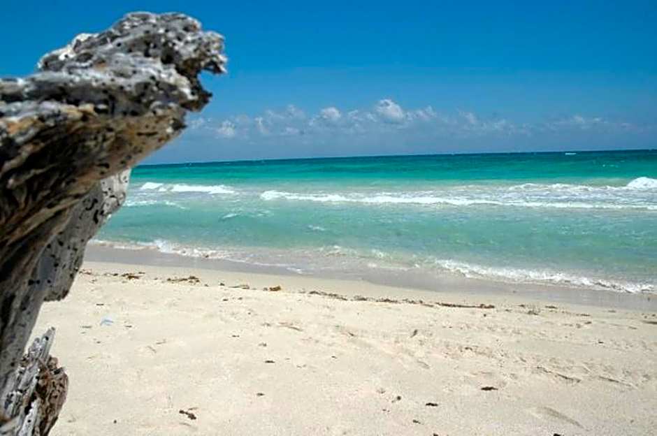 Margarita del Sol Hotel Costa Maya