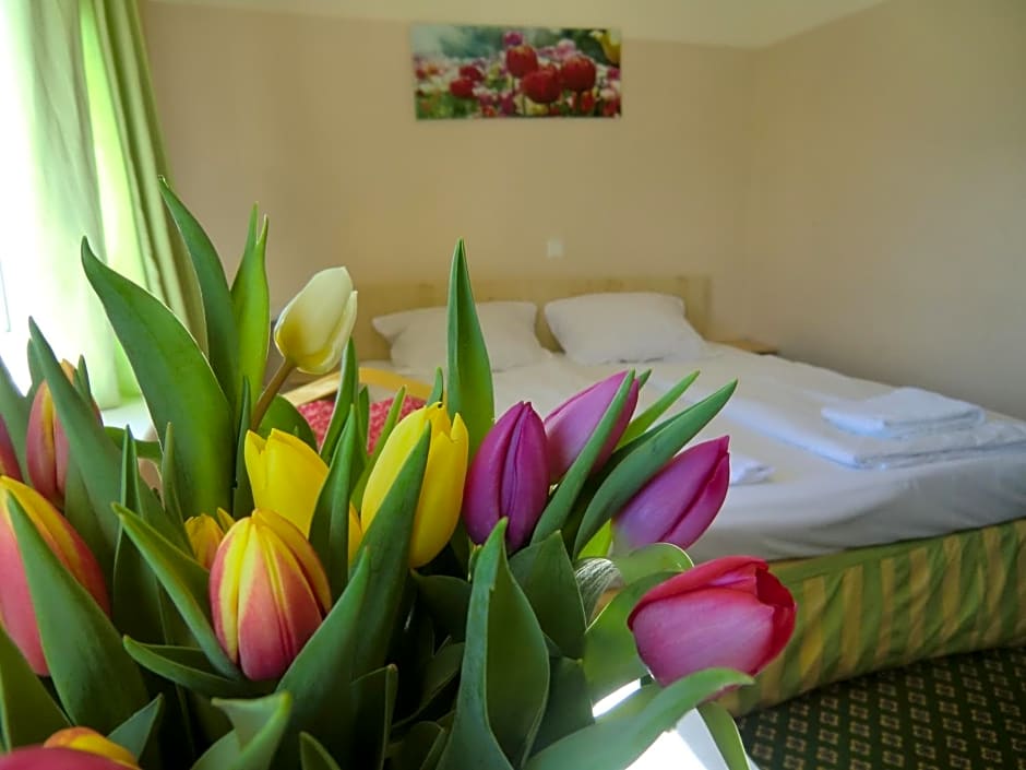 Panorama Hotel Frankfurt Offenbach Sud