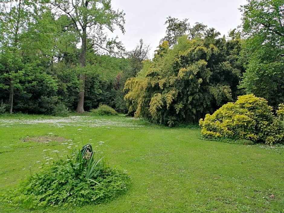 Villa La Dogana B&B di Charme - Historic Villa with a beautiful garden - private parking