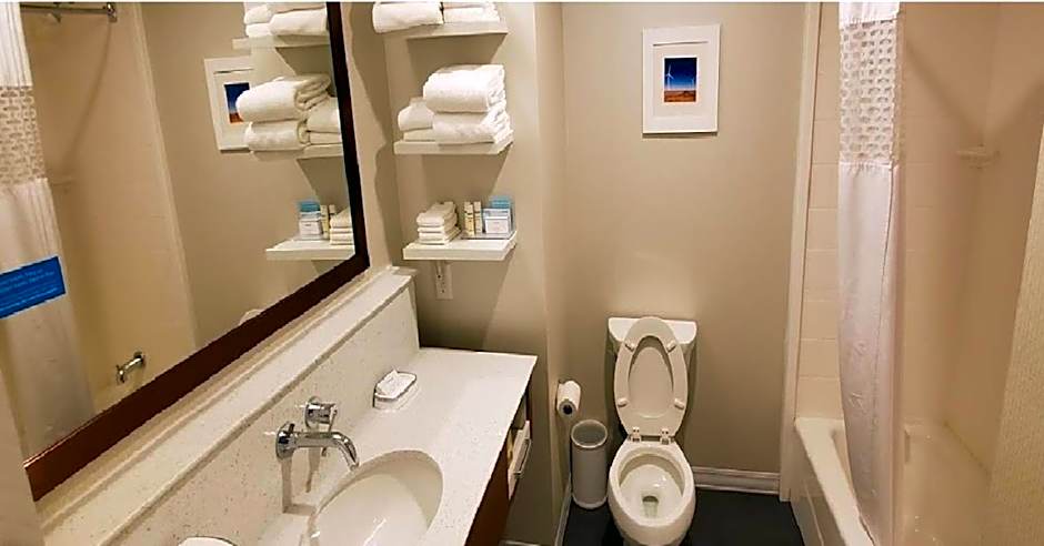 Hampton Inn By Hilton Snyder Tx