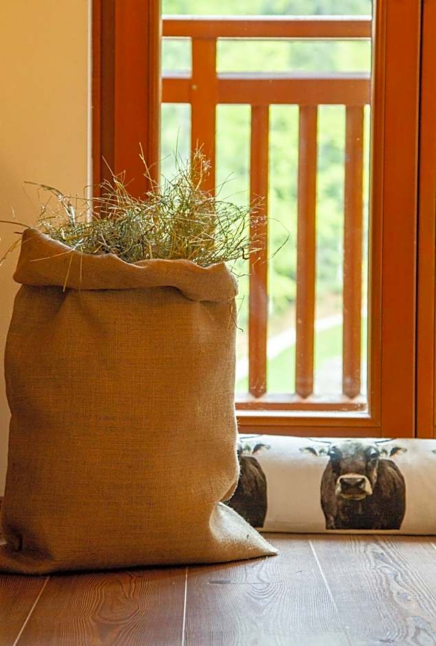 Hotel Chalet Giasenei