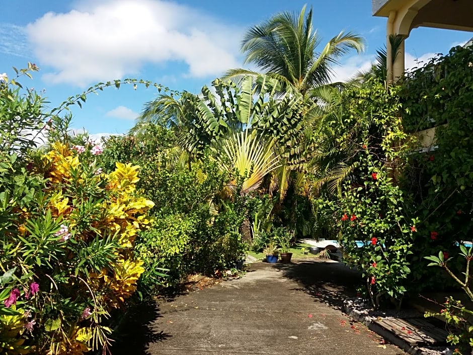 Chambre d'hôte et Loft dans maison de charme piscine à débordement La Villa Gialla