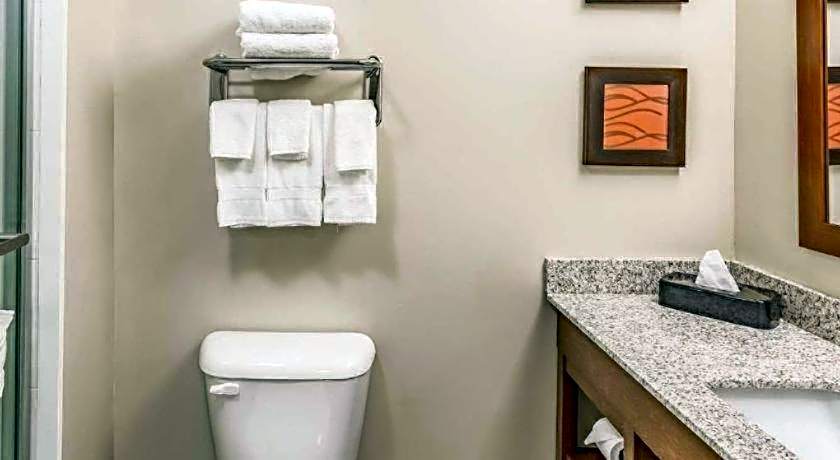 Quality Inn Bessemer I-20 exit 108