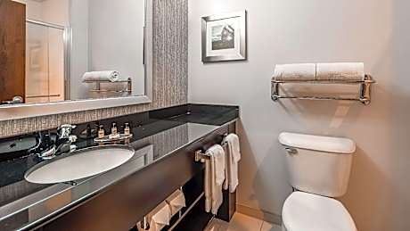 Accessibility - Suite 2 Queen, Bathtub, Sofabed, Nonsmoking