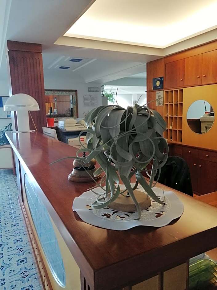 Hotel La Primavera