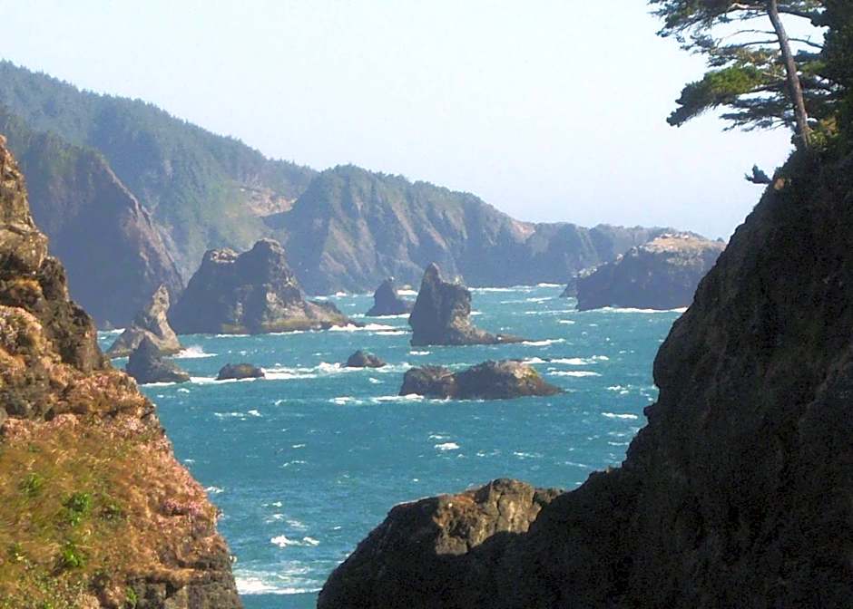 SureStay Plus Hotel Gold Beach by Best Western