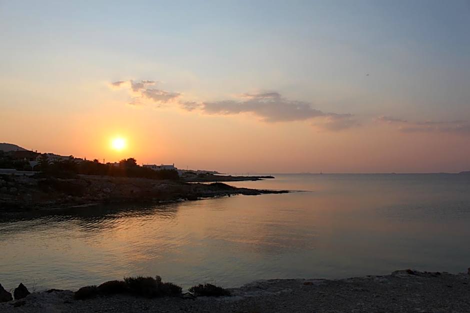 Blue Dolphin Studios and Apartment