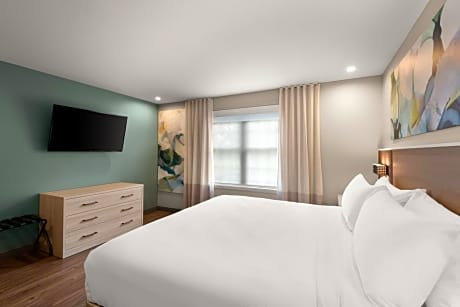 1 King Bed 1-Bedroom Suite Garden View Dressing Counter Non-Smoking