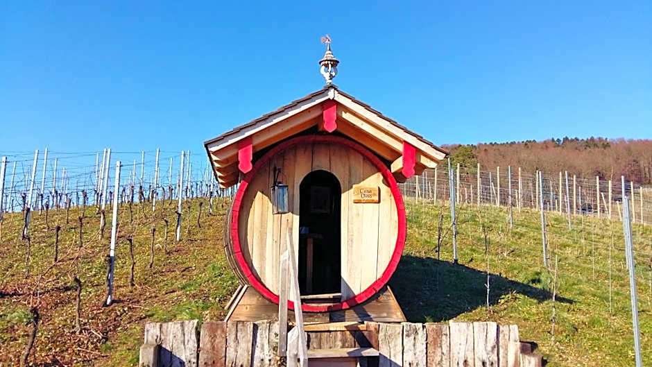 Hotel Schwarzenbergs Traube