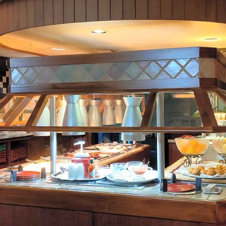 Holiday Inn At Six Flags Saint Louis by IHG