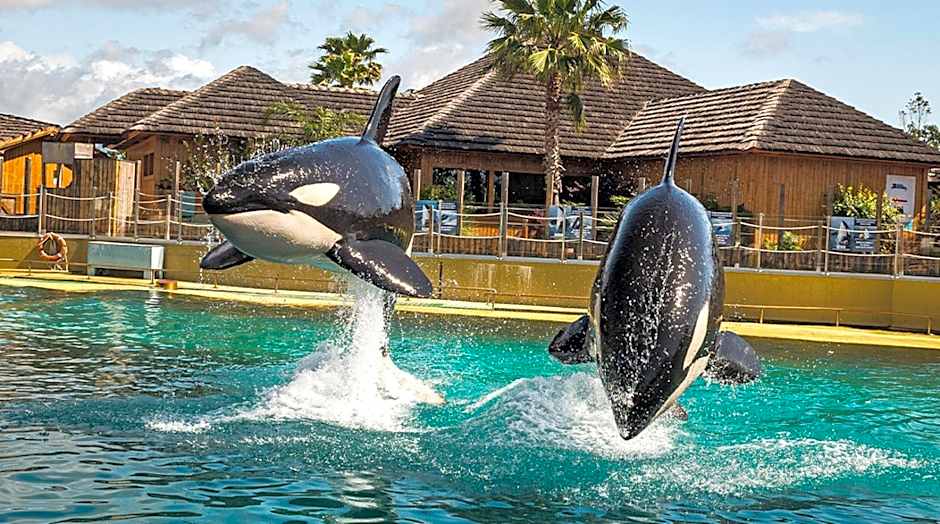 Appartement Marineland Sea View