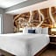 Cambria Hotel West Orange