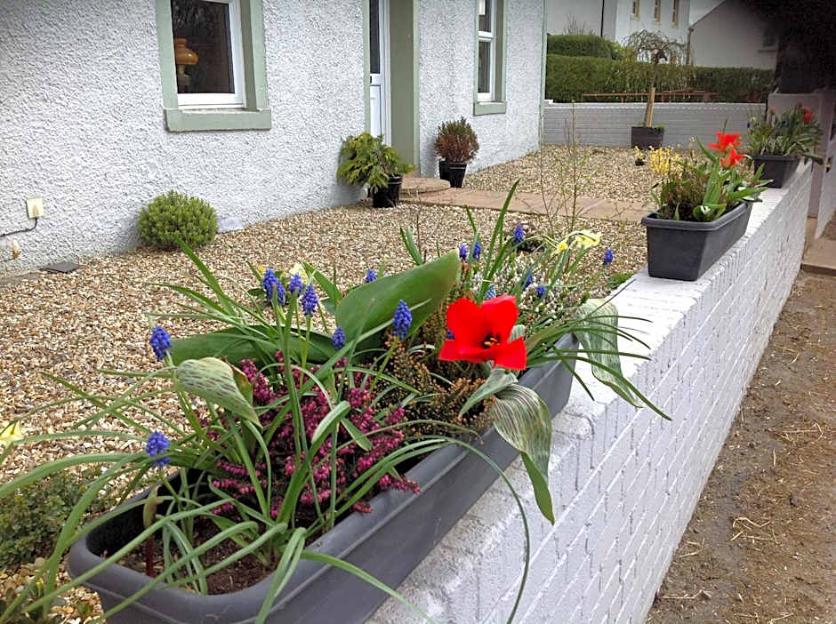 Midtown Farm Bed & Breakfast