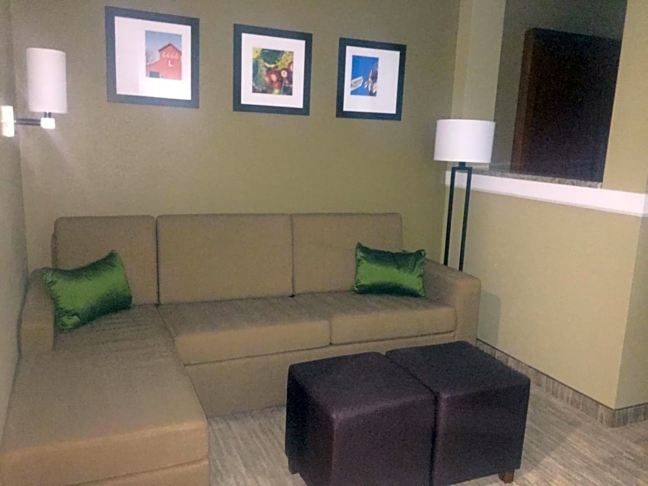 Comfort Suites University