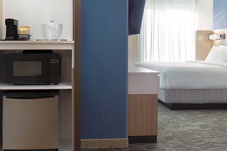 SpringHill Suites by Marriott Pleasanton