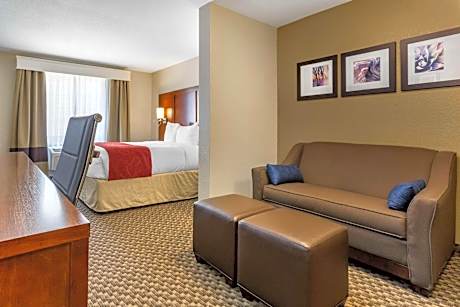 Queen Suite with Roll In Shower - Accessible/Non-Smoking