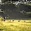 Caracal Lodge