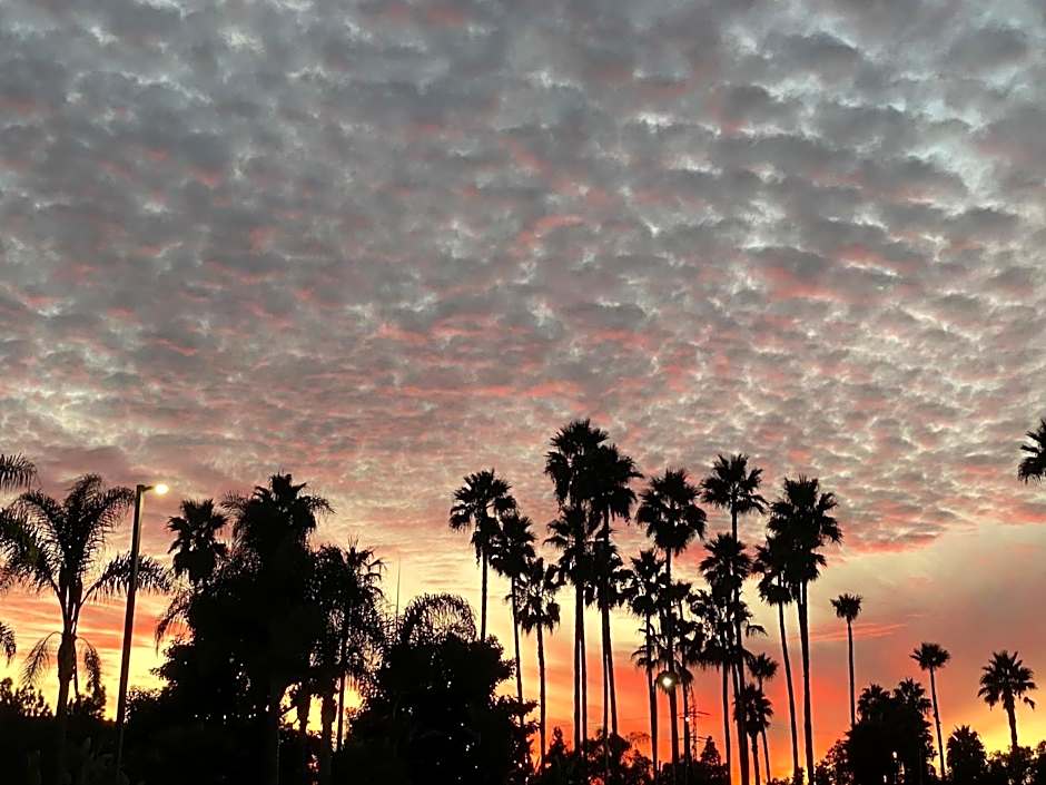 Holiday Inn Express Hotel & Suites Carlsbad Beach By IHG