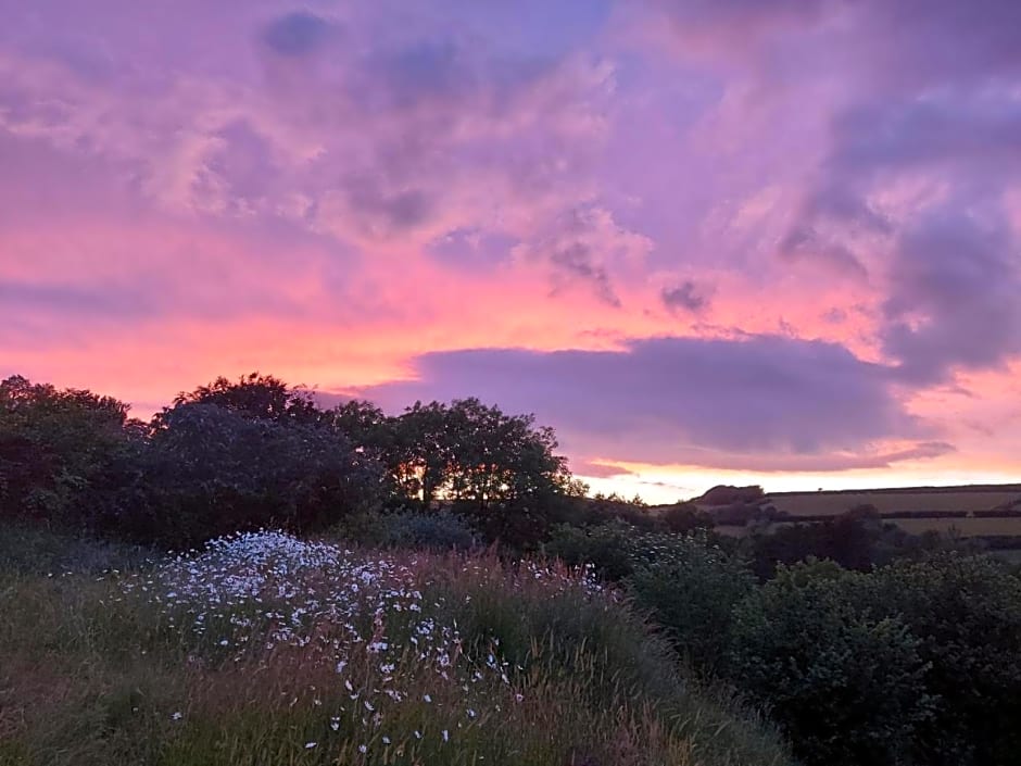 Highfield House, Parracombe, Modern B&B