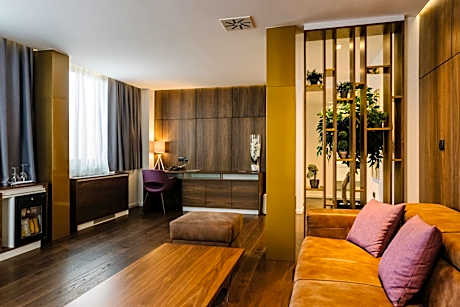 Deluxe One-Bedroom Apartment
