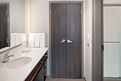 1 King Bed Studio Suite