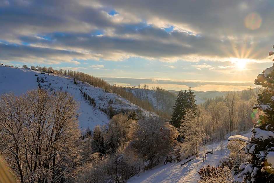 Harz BnB Werkmeister