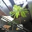Hotel Livemax Esaka