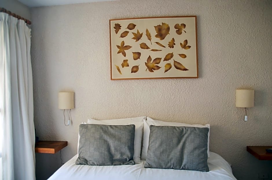 Aldea Andina Hotel&Spa