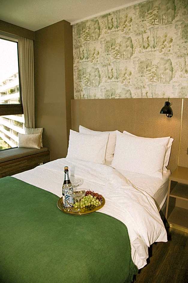 Hotel Eco Boutique Bidasoa