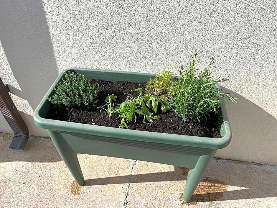 HISTOIRE D'Ô - Les Piscines - Chambres d'hôtes