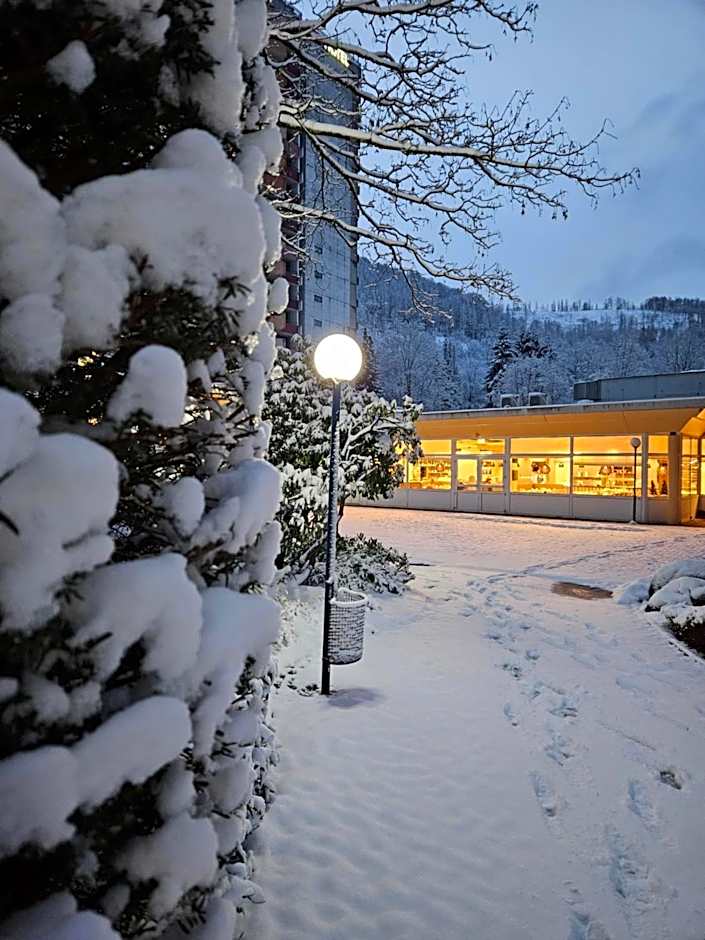 Familien Apartmenthotel Panoramic