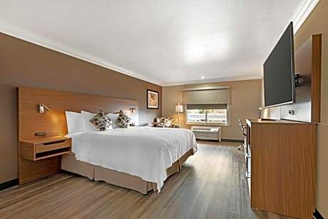 Executive King Room