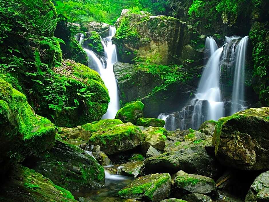 momijigawa onsen