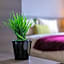 Genting Premium Suite Windmill Upon Hills by JAz Home Suites