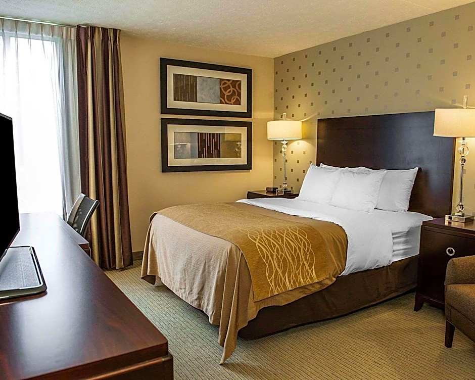 Comfort Inn Bloomington near University
