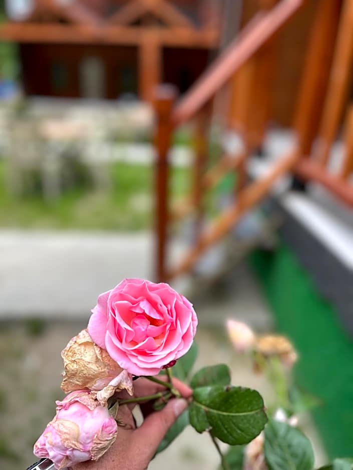 Ay Home Apart&bungalov