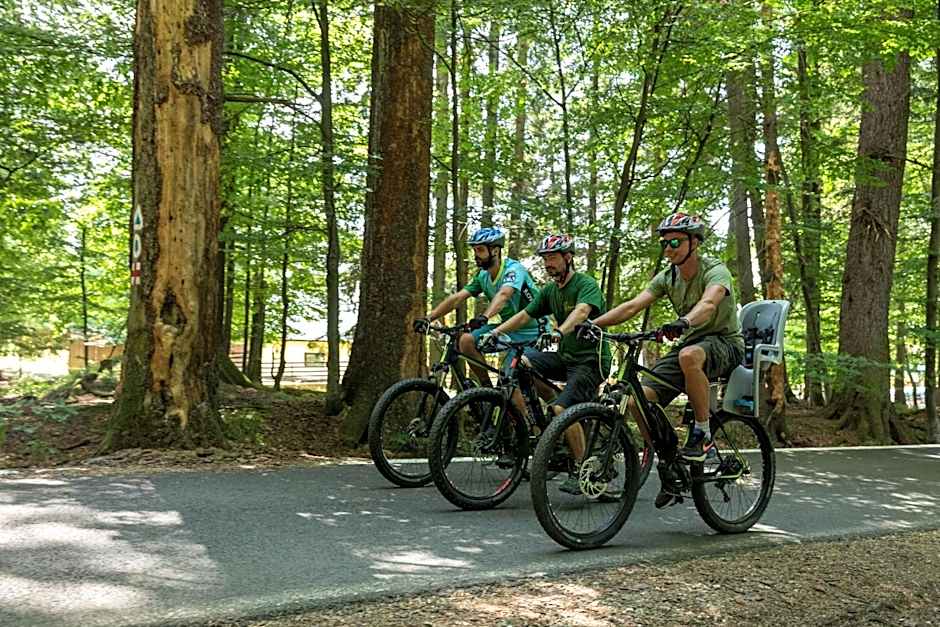 Hotel Casa Viorel jacuzzi & saunas