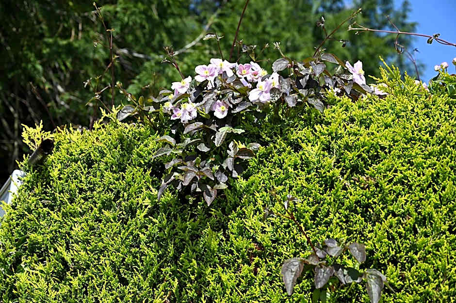 Logis Hôtel La Demeure du Perron