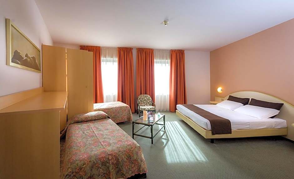 Hotel Des Alpes